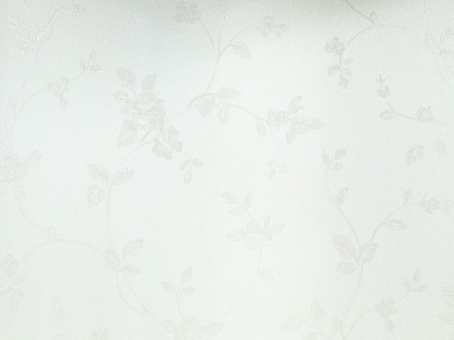 イギリスアンティーク張替済ショーケース 59652